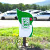 charging-electric-vehicles charging-electric-vehicles